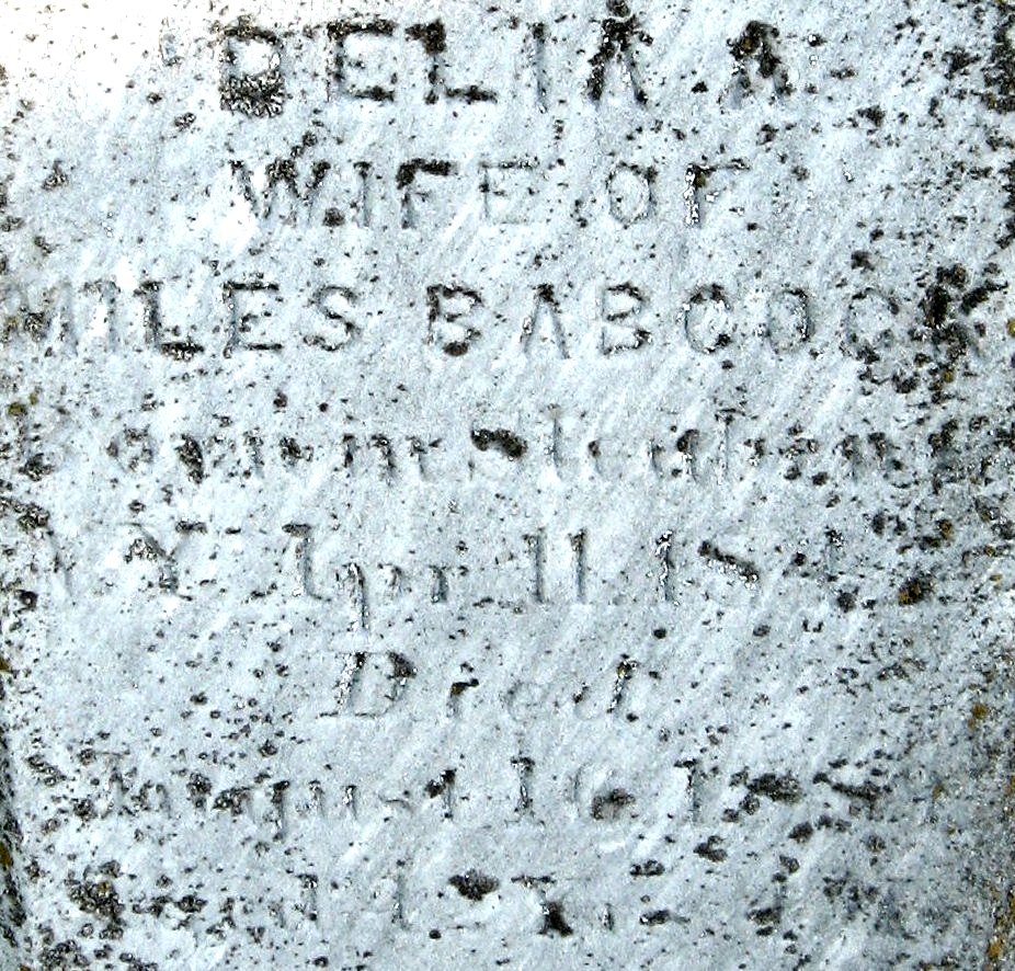 CHATFIELD Delia Alma 1847-1889 grave section.jpg